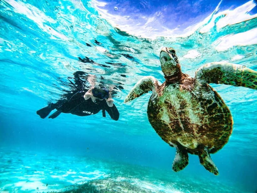 Snorkeling Activity in Okinawa Miyako Japan - Why This Snorkeling Tour Is Worth It