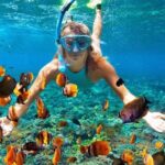 Snorkeling At Blue lagoon And Hidden waterfall - What Makes This Tour Stand Out?