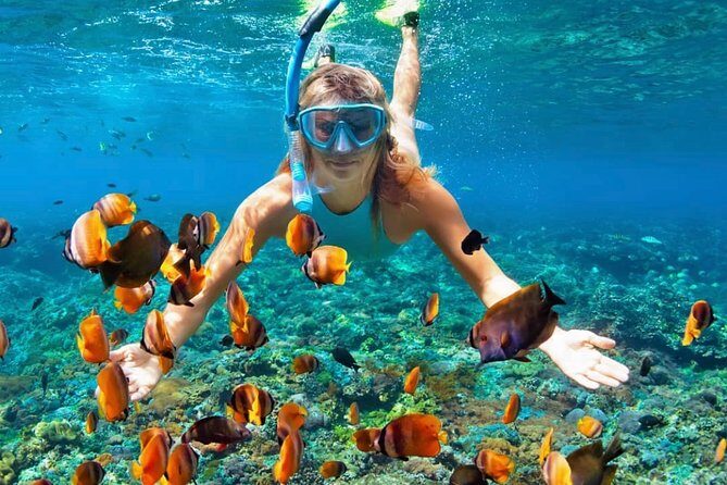Snorkeling At Blue lagoon And Hidden waterfall - What Makes This Tour Stand Out?