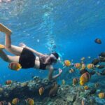 Snorkeling Day Trip To Lembongan and Penida - The Pros and Cons