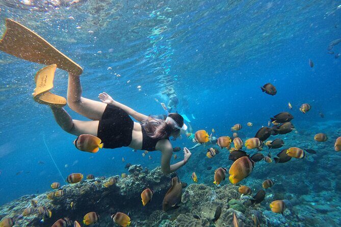 Snorkeling Day Trip To Lembongan and Penida - The Pros and Cons