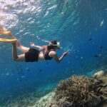 Snorkeling Day Trip to Nusa Lembongan and Nusa Penida - Marine Life & Snorkeling Spots