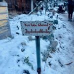 Snow Monkey Park & Zenko-ji Temple Nagano One Day Tour - Exploring Snow Monkey Park