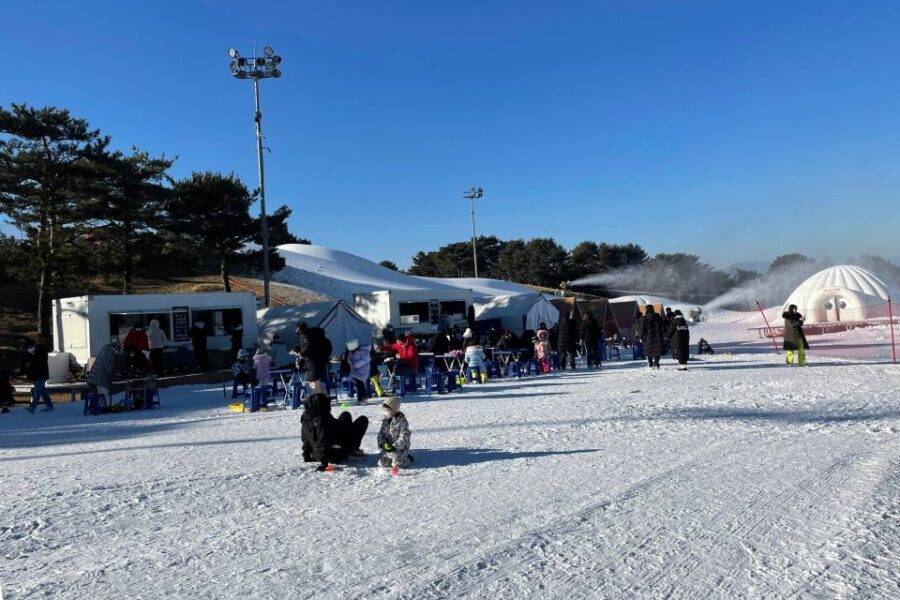 Snowy Land, Alpaca World, and Strawberry Picking - Encountering Fluffy Animals at Alpaca World