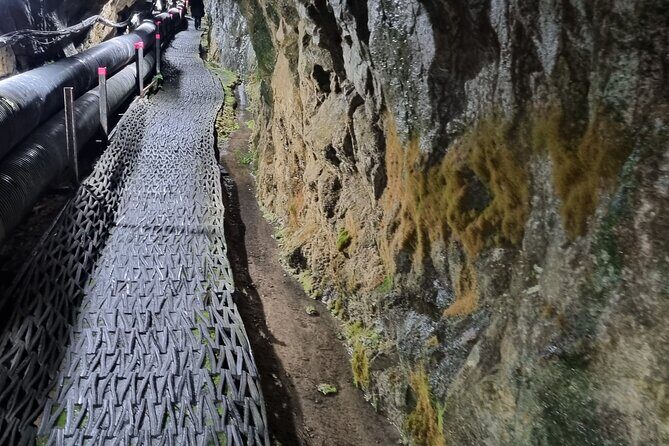 South Korea Demilitarized Zone, DMZ Tour from Seoul - Transportation & Comfort