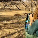 Spot Tigers and other wild of Ranthambore on a Day-Same Tour - Practical Details and Tips