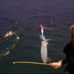 Squid Fishing Tour at Nhon Ly, Vietnam - Final Thoughts