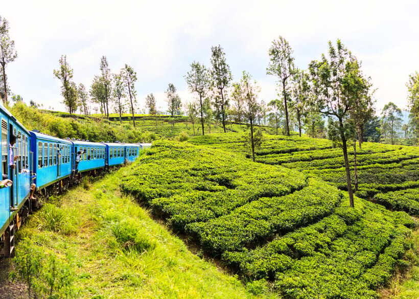 Sri Lanka 5-Day Private Country Side Tour Car, Hotels, Food - Day-by-Day Breakdown: What to Expect