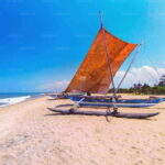 Sri Lanka in 10 Days: Heritage, Hills & Coast - Practical Insights & Value