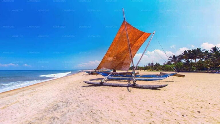 Sri Lanka in 10 Days: Heritage, Hills & Coast - Practical Insights & Value