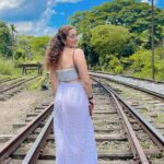 Sri Lanka Personal Tour Driver in a Private Vehicle - Final Thoughts