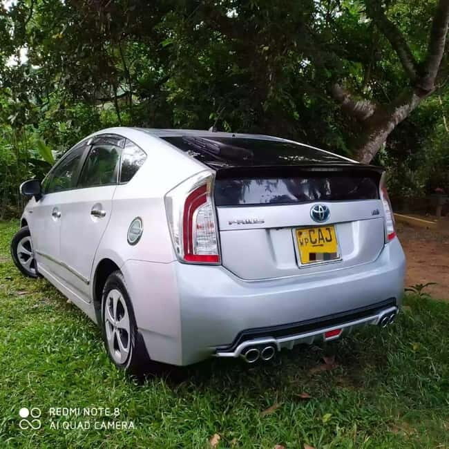 Srilanka one day & multi day Tours - Car Rental Service - The Experience and Vehicle Options