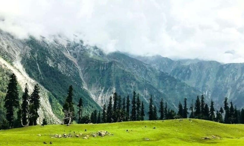 Srinagar: Doodhpathri Day Trip with Transfers - Exploring the Meadows and Waterfalls