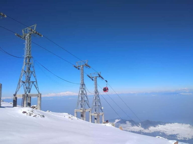 Srinagar: Gulmarg Day Tour - Explore the Meadow of Flowers - An In-Depth Look at the Gulmarg Day Tour