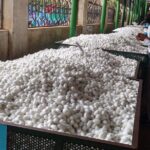 Story of Mysore Silk tour from Bangalore to experience Silk Weaving & Palace - Practical Tips for a Smooth Day