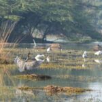 Sultanpur Bird Sanctuary: 2-Day Tour from Delhi - Breakdown of the 2-Day Itinerary