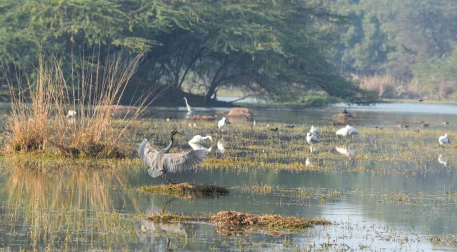 Sultanpur Bird Sanctuary: 2-Day Tour from Delhi - Breakdown of the 2-Day Itinerary