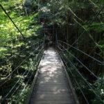 Summer Only Tour: Hidden Gems of the Kiso Valley (Nagoya) - What’s Included and What to Prepare