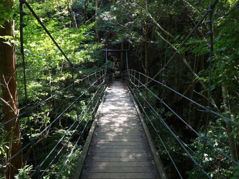 Summer Only Tour: Hidden Gems of the Kiso Valley (Nagoya) - What’s Included and What to Prepare