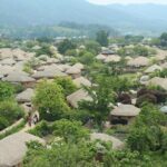 Suncheon one day tour from Seoul, Busan or Suncheon - Authentic Experiences and Highlights
