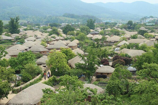 Suncheon one day tour from Seoul, Busan or Suncheon - Authentic Experiences and Highlights