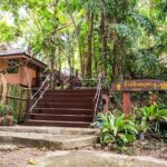 Surin Islands 2 Days 1 Night Trip from Phuket - Day Two: More Snorkeling and Departure