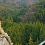 Suwon Hwaseong Fortress & Jangtaesan Tour: Autumn Leaves - A Closer Look at the Itinerary and What You Can Expect