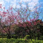 Taipei Timeout: Private 8-Hour Layover Adventures - What Travelers Love About This Tour