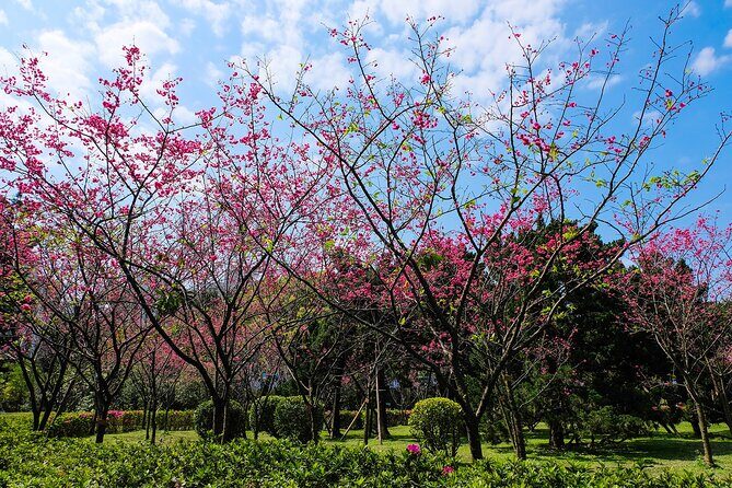 Taipei Timeout: Private 8-Hour Layover Adventures - What Travelers Love About This Tour