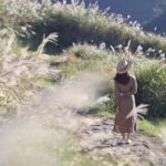 Taipei's Backyard - Yangmingshan National Park Day Tour - Transportation, Group Size, and Overall Value