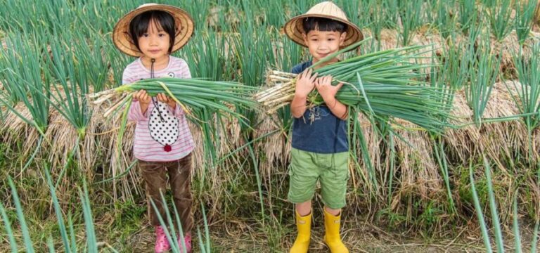 Taiwan: 10-Day Private Island Tour with 4-Star Hotels - FAQs