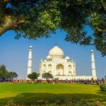 Taj Mahal, Agra Fort & Elephant Conservation Tour from Delhi - What Makes This Tour Stand Out