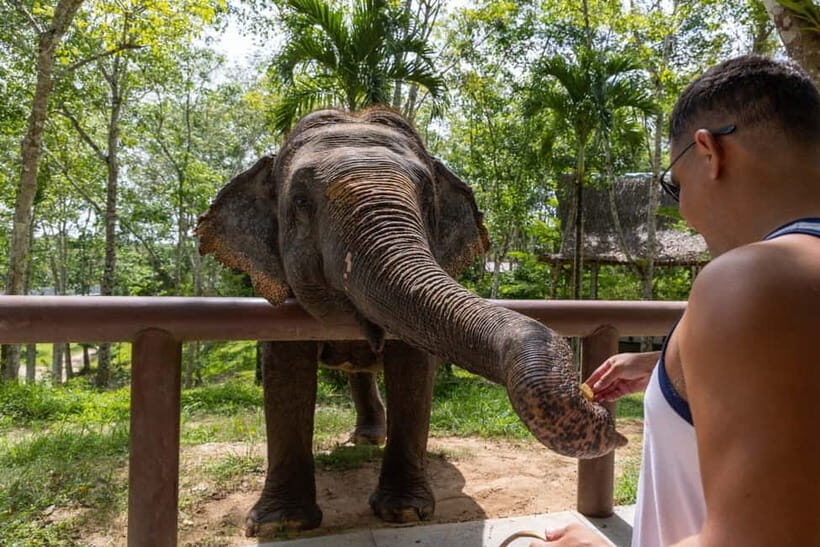 Taj Mahal Sunrise & Elephant Rescue Tour from Delhi - FAQs