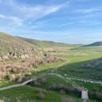 Tanbaly Gorge: Ancient Petroglyphs UNESCO Site Day Tour - Practical Details & Value