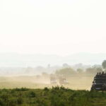 Tangalle/Hiriketiya/Mirissa/Galle: Ella Transfer & Yala Tour - What You Can Expect at Yala National Park