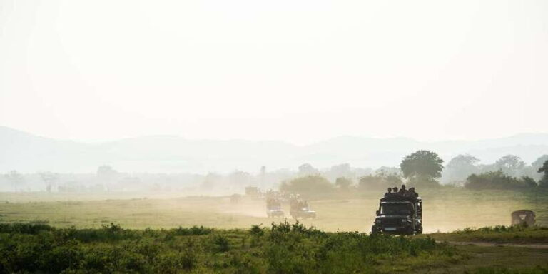 Tangalle/Hiriketiya/Mirissa/Galle: Ella Transfer & Yala Tour - What You Can Expect at Yala National Park