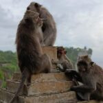 The GAD Uluwatu Tour - Why This Tour Works