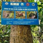 The Hidden Trails of Cat Ba - Visiting Viet Hai Village: A Glimpse of Authentic Life