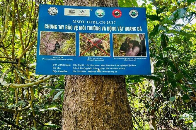 The Hidden Trails of Cat Ba - Visiting Viet Hai Village: A Glimpse of Authentic Life