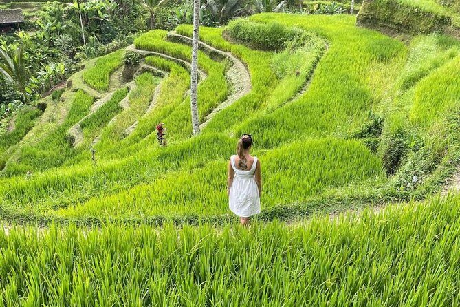 Tirta Empul temple, Jungle Swing and Waterfalls - Private Tour - Who Would Love This Tour?