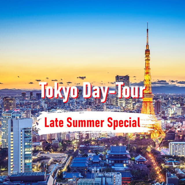 Tokyo: 10-hour Customizable Private Tour with Hotel Transfer - The Private Vehicle Experience