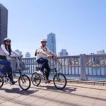 Tokyo: 3h Private E-bike Tours, Starting at Your Hotel - Why Choose This Tokyo E-bike Tour?