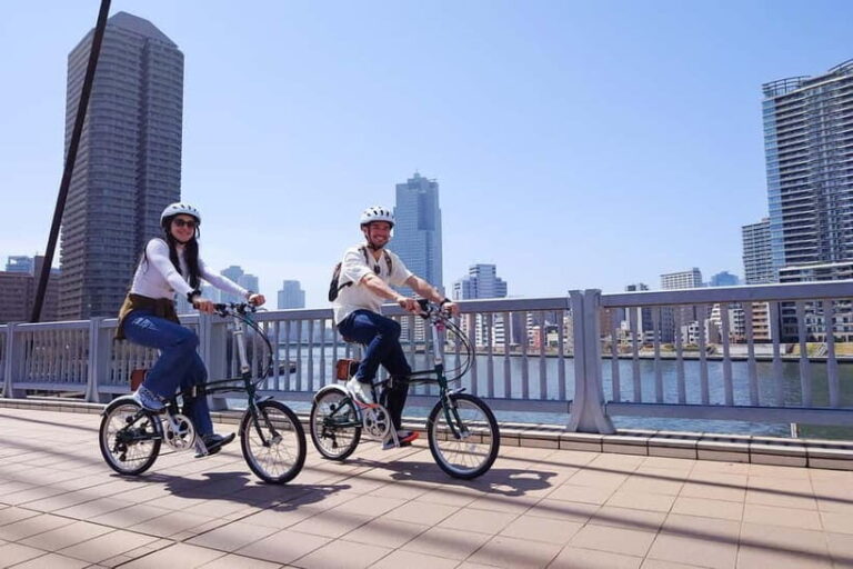 Tokyo: 3h Private E-bike Tours, Starting at Your Hotel - Why Choose This Tokyo E-bike Tour?