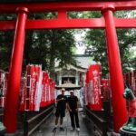 Tokyo: Akasaka Walking Tour with Temple Visit - Practical Aspects & Value