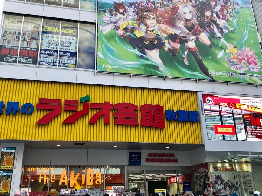 Tokyo: Akihabara Otaku Private Custom Tour - Exploring Akihabaras Shopping Scene