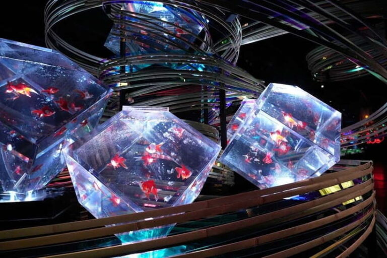 Tokyo: Art Aquarium Museum GINZA Entry Ticket - Who Will Love the Art Aquarium GINZA?