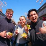 Tokyo: Asakusa Food and Culture Tour with Lunch - Who is This Tour Best For?