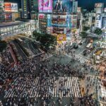 Tokyo city day tour with englisg speaking driver. - The experience in detail