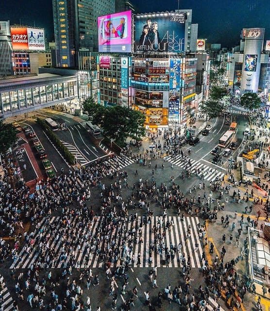 Tokyo city day tour with englisg speaking driver. - The experience in detail