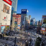Tokyo City Private Full Day Tour - Key Points